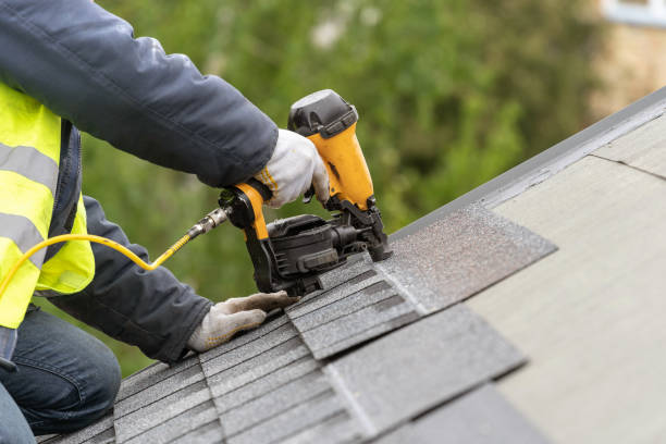 Best Roof Moss and Algae Removal  in Spring, TX