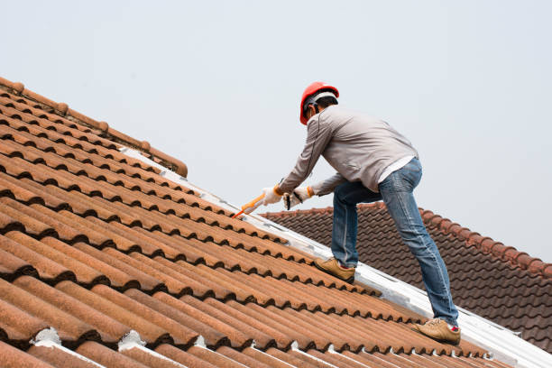 Best Chimney Flashing Repair  in Spring, TX
