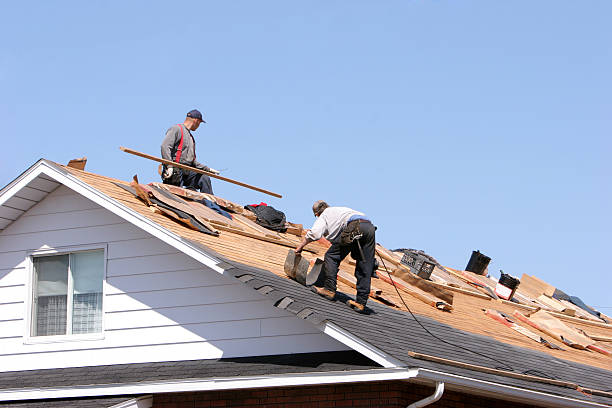 Best Roof Coating and Sealing  in Spring, TX
